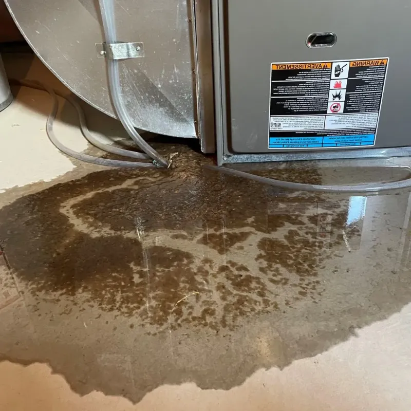 Pipe Burst and Leak Restoration in McConnellstown, PA