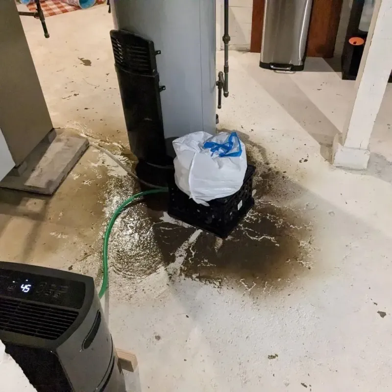 Sewage Backup Cleanup Service in McConnellstown, PA